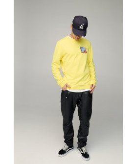 Світшот чоловічий BASIC /no flis/