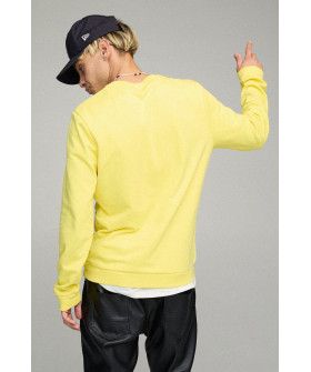 Світшот чоловічий BASIC /no flis/