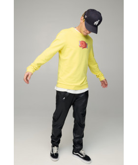 Свитшот мужской BASIC /no flis/