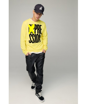 Свитшот мужской BASIC /no flis/