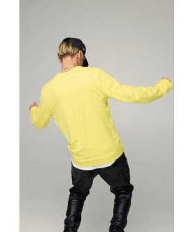 Свитшот мужской BASIC /no flis/