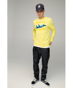 Свитшот мужской BASIC /no flis/