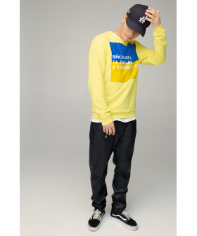 Світшот чоловічий BASIC /no flis/