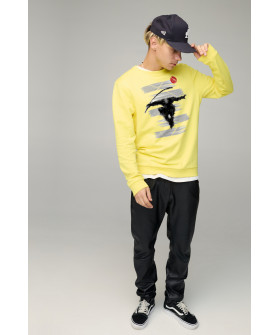 Свитшот мужской BASIC /no flis/