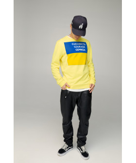 Свитшот мужской BASIC /no flis/