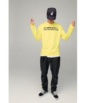 Світшот чоловічий BASIC /no flis/