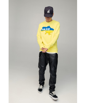 Свитшот мужской BASIC /no flis/