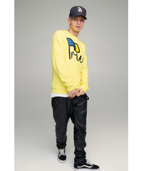 Світшот чоловічий BASIC /no flis/