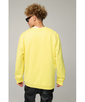 Світшот чоловічий OVERSIZE /no flis/