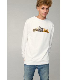 Sweatshirt men's OVERSIZE /no flis/