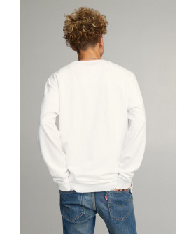 Свитшот мужской OVERSIZE /no flis/