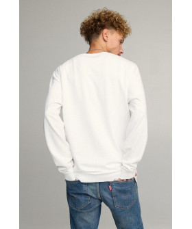 Світшот чоловічий OVERSIZE /no flis/