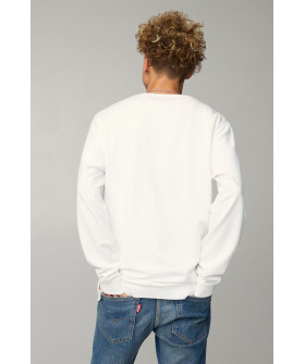 Свитшот мужской OVERSIZE /no flis/