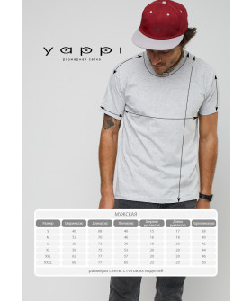 Футболка YAPPI чоловіча сіра "I`m not doing shit today"