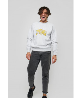 Світшот YAPPI чоловічий  сірий "Lithuania"