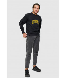 Sweatshirt YAPPI men's black "Lithuania"