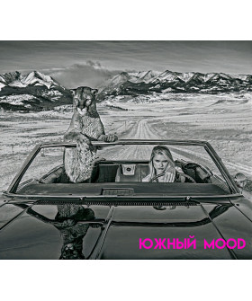 Футболка Бойфренд / воздушный принт /