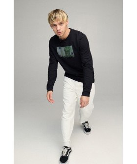 Свитшот мужской BASIC /no flis/