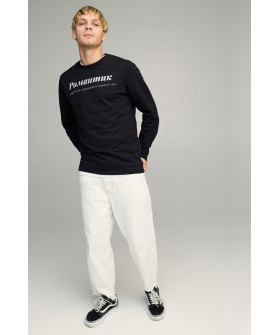 Свитшот мужской BASIC /no flis/