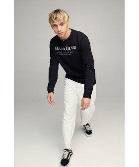 Світшот чоловічий BASIC /no flis/