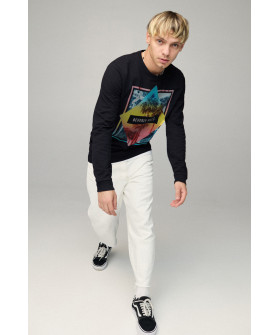 Світшот чоловічий BASIC /no flis/