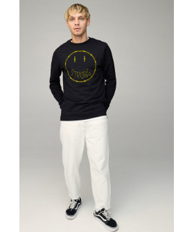 Свитшот мужской BASIC /no flis/