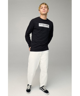 Світшот чоловічий BASIC /no flis/