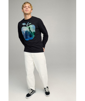 Свитшот мужской BASIC /no flis/