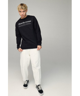 Світшот чоловічий BASIC /no flis/