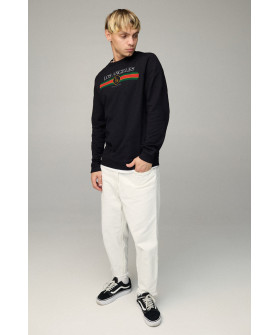 Свитшот мужской BASIC /no flis/