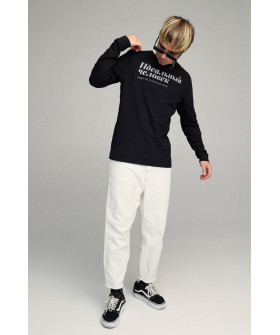 Свитшот мужской BASIC /no flis/