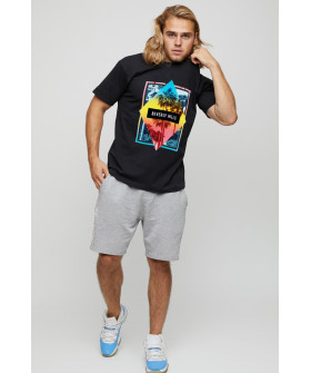 Men's T-shirt basic /air print/