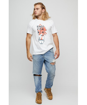 Футболка чоловіча basic /air print/