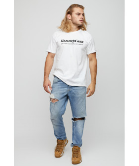 Men's T-shirt basic /air print/