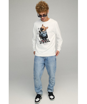 Men's sweatshirt BASIC /no flis/