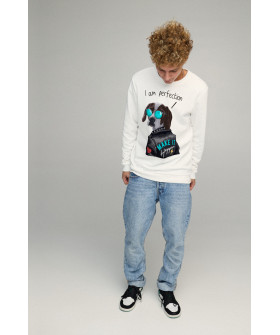 Men's sweatshirt BASIC /no flis/