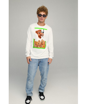 Світшот чоловічий BASIC /no flis/