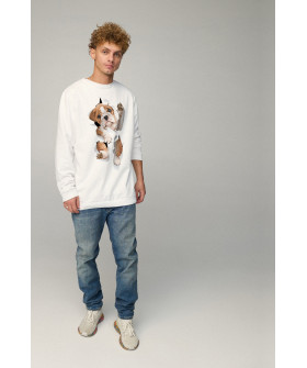Sweatshirt men's OVERSIZE /no flis/