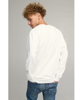 Свитшот мужской OVERSIZE /no flis/