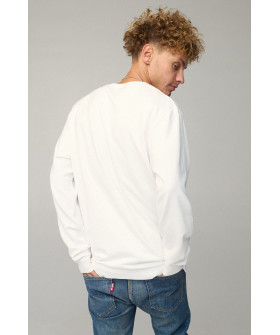 Свитшот мужской OVERSIZE /no flis/