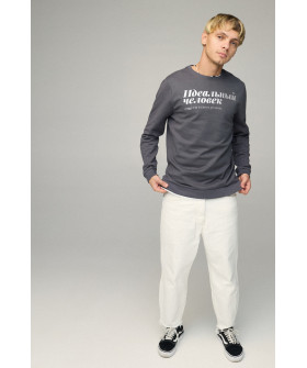 Свитшот мужской BASIC /no flis/