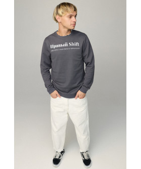 Світшот чоловічий BASIC /no flis/