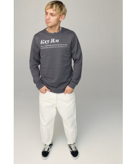 Свитшот мужской BASIC /no flis/