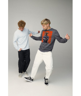 Свитшот мужской BASIC /no flis/