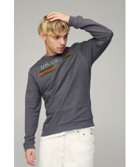 Men's sweatshirt BASIC /no flis/