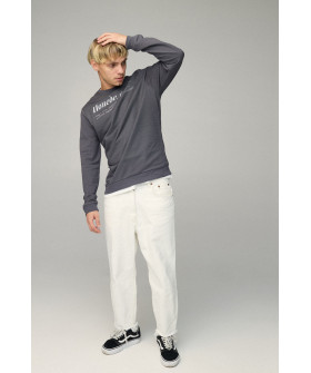 Свитшот мужской BASIC /no flis/