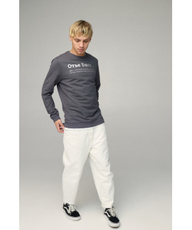 Свитшот мужской BASIC /no flis/