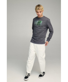 Світшот чоловічий BASIC /no flis/