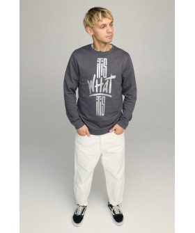 Світшот чоловічий BASIC /no flis/