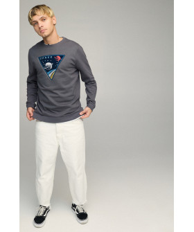 Світшот чоловічий BASIC /no flis/